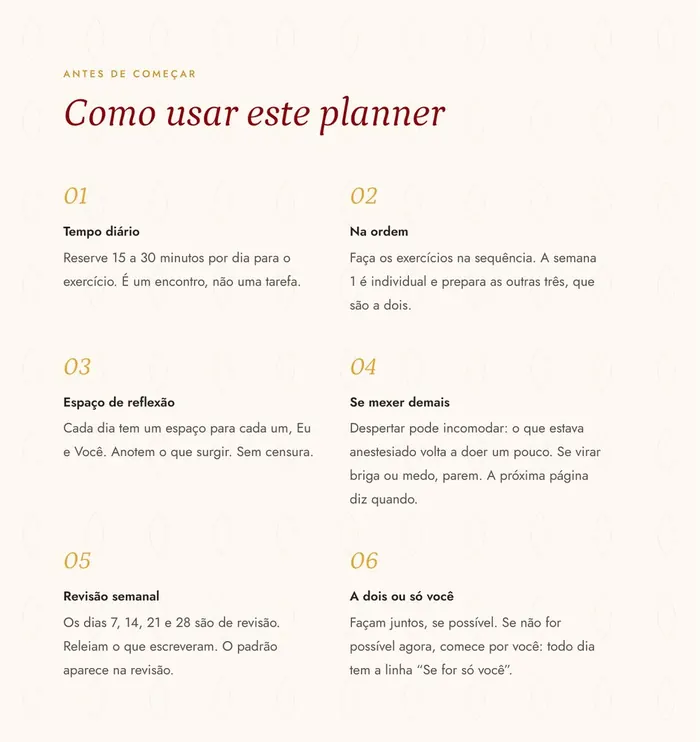 Página "Como usar este planner", com as seis orientações de uso.