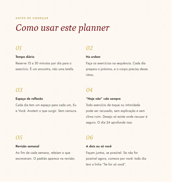 Página "Como usar este planner", com as seis orientações de uso.
