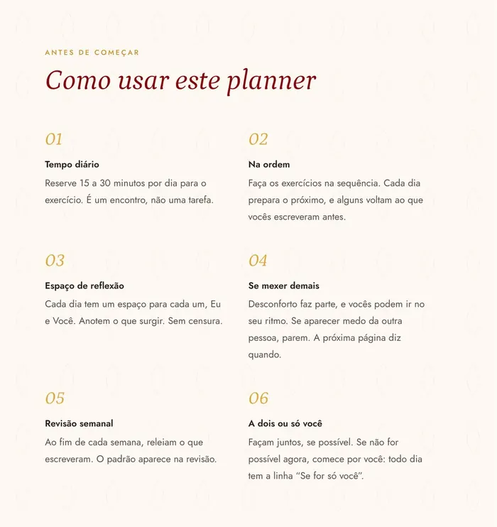 Página "Como usar este planner", com as seis orientações de uso.
